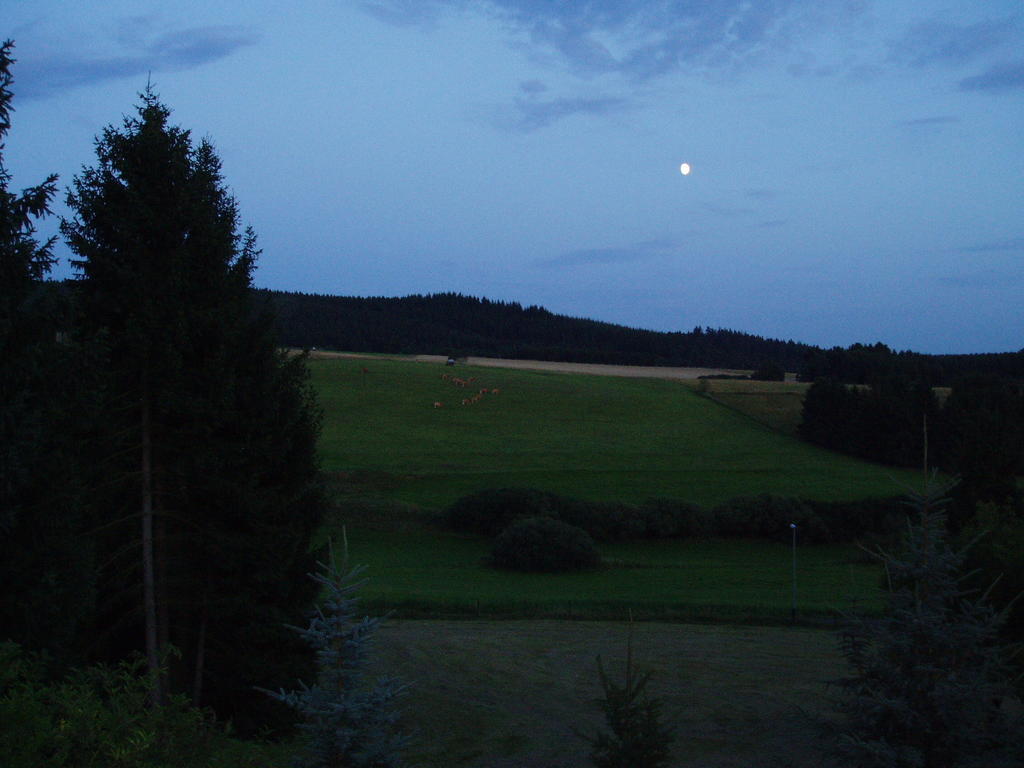 Eifelcottage Ulmen Chambre photo