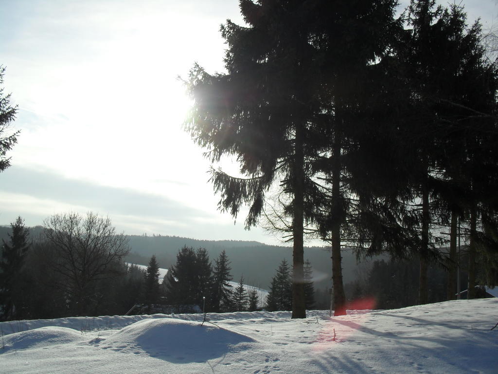 Eifelcottage Ulmen Chambre photo